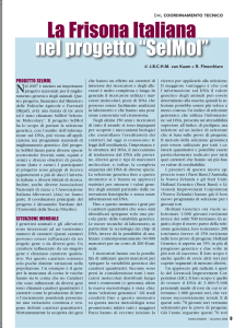 La Frisona Italiana nel progetto “SelMol”