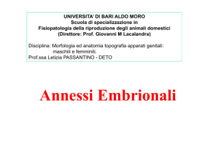 Annessi Embrionali - index - Scuola di Specializzazione in