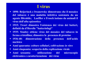 Lezione 8. I virus