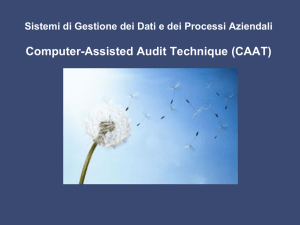 Computer-Assisted Audit Technique (CAAT)