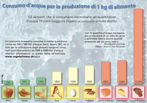 Consumo d`acqua per la produzione di1 kg di alimento