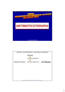 antibioticoterapia