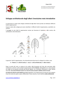 Sviluppo architetturale degli alberi