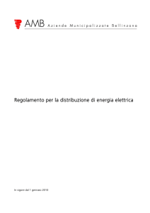 Regolamento per la distribuzione di energia elettrica