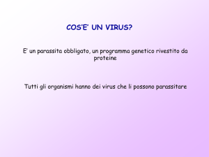 virus - I.C. Ferrari