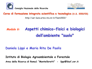 Nessun titolo diapositiva - Ufficio Scolastico Regionale per il Lazio