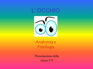 Anatomia e Fisiologia