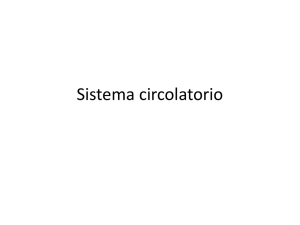 13) sistema circolatorio