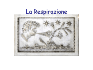 La Respirazione