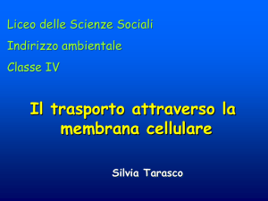Il trasporto attraverso la membrana cellulare Silvia Tarasco