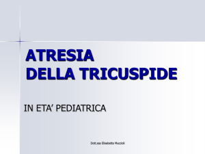 atresia tricuspide - PediatriaMuccioli