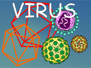 Virus