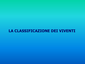 Nessun titolo diapositiva - Liceo Scientifico Statale Vito Volterra