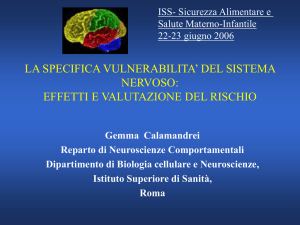G. Calamandrei - Vulnerabilità del sistema nervoso