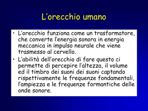 l`orecchio umano non sente tutti i suoni che esistono