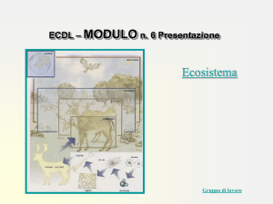 Ecosistema - Guida Computer