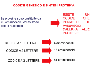 codice genetico e mutazioni geniche 14