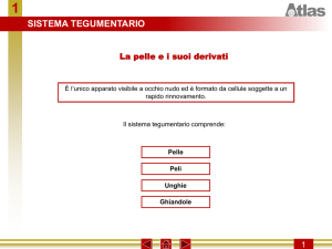 Slide 1 - Sezione F Majorana