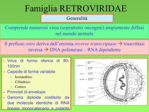 Presentazione di PowerPoint - Sezione Bulldog di Fossombrone