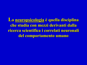 La neuropsicologia è quella disciplina che studia con mezzi