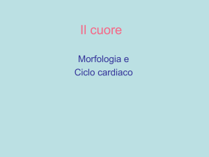 ritmocardiaco