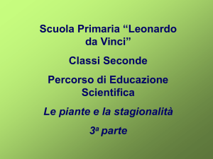 b piante 3° parte Claudia Fabiani