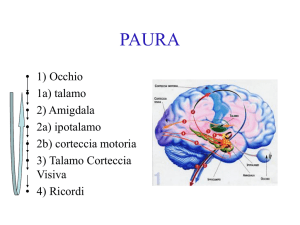 PowerPoint Presentation - PAURA