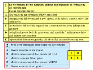 Presentazione di PowerPoint