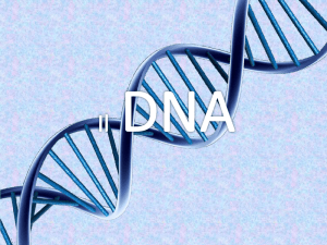 Ambrosino DNA 2