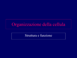1_Organizzazione_della_cellula