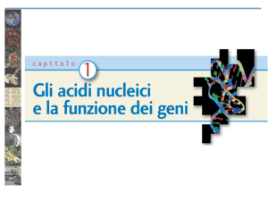 doppia elica del DNA