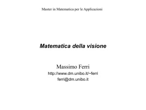 Matematica della visione - Dipartimento di Matematica