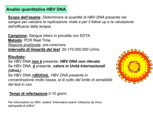 HBV DNA presente in concentrazione molto bassa, al di sotto del