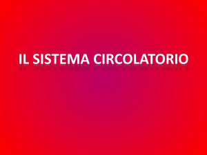 Lez 4 A Sistema circolatorio