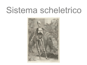 Diapositiva 1 - Liceo Galileo Galilei
