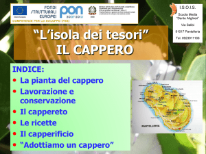 (Scuola Media Alighieri Pantelleria (TP).pps)