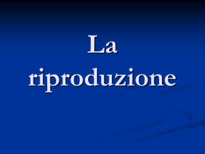 Riproduzione umana, malattie sessualmente trasmissibili, metodi di