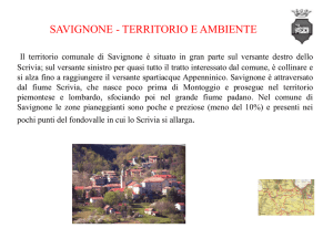 Savignone