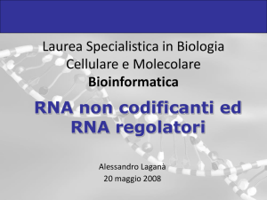 RNA non codificanti ed RNA regolatori