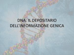 DNA: IL DEPOSITARIO DELL`INFORMAZIONE GENICA