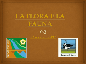 Flora efauna3 - Salvaguardia del creato