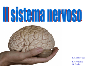 Presentazione di PowerPoint
