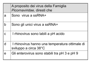 Diapositiva 1