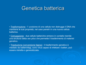 Genetica batterica - Dipartimento di Farmacia