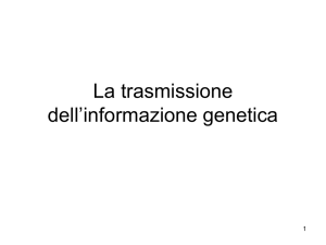 La trasmissione dell`informazione genetica