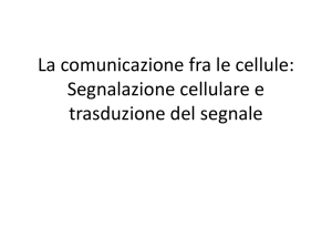 Diapositiva 1 - Marina Paolucci