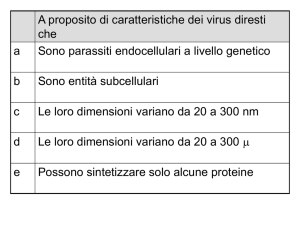 Diapositiva 1