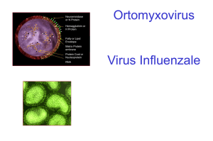 06 - Influenza