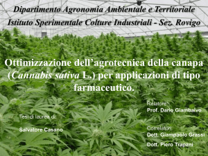 Diapositiva 1 - Medicalcannabis.it