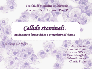 Cellule staminali adulte: applicazioni terapeutiche e prospettive di